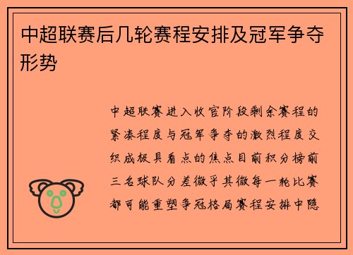 中超联赛后几轮赛程安排及冠军争夺形势