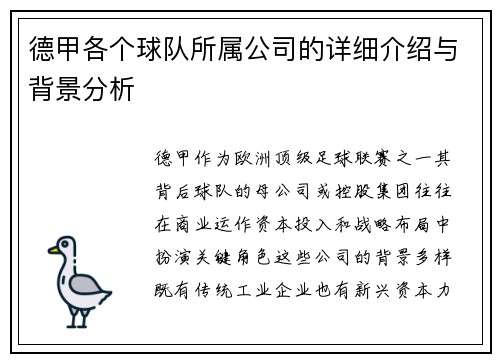 德甲各个球队所属公司的详细介绍与背景分析