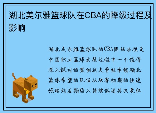 湖北美尔雅篮球队在CBA的降级过程及影响